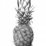 Treliske pineapple b&w copy