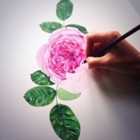 img_0963-510x680thumb