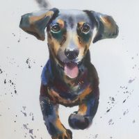 50886382_2130760223629772_2724300221164027904_n