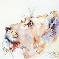 603953_612263885457331_1152687992_n[1]