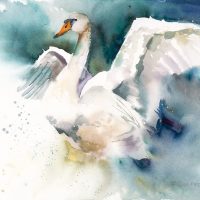 Amazing-Grace_ws-1[1]