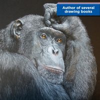 28080392_1935695423319692_265109834_o-1 (1)