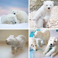 Kids Christmas Web Square3